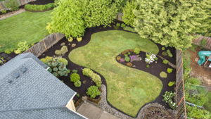  Photo 47