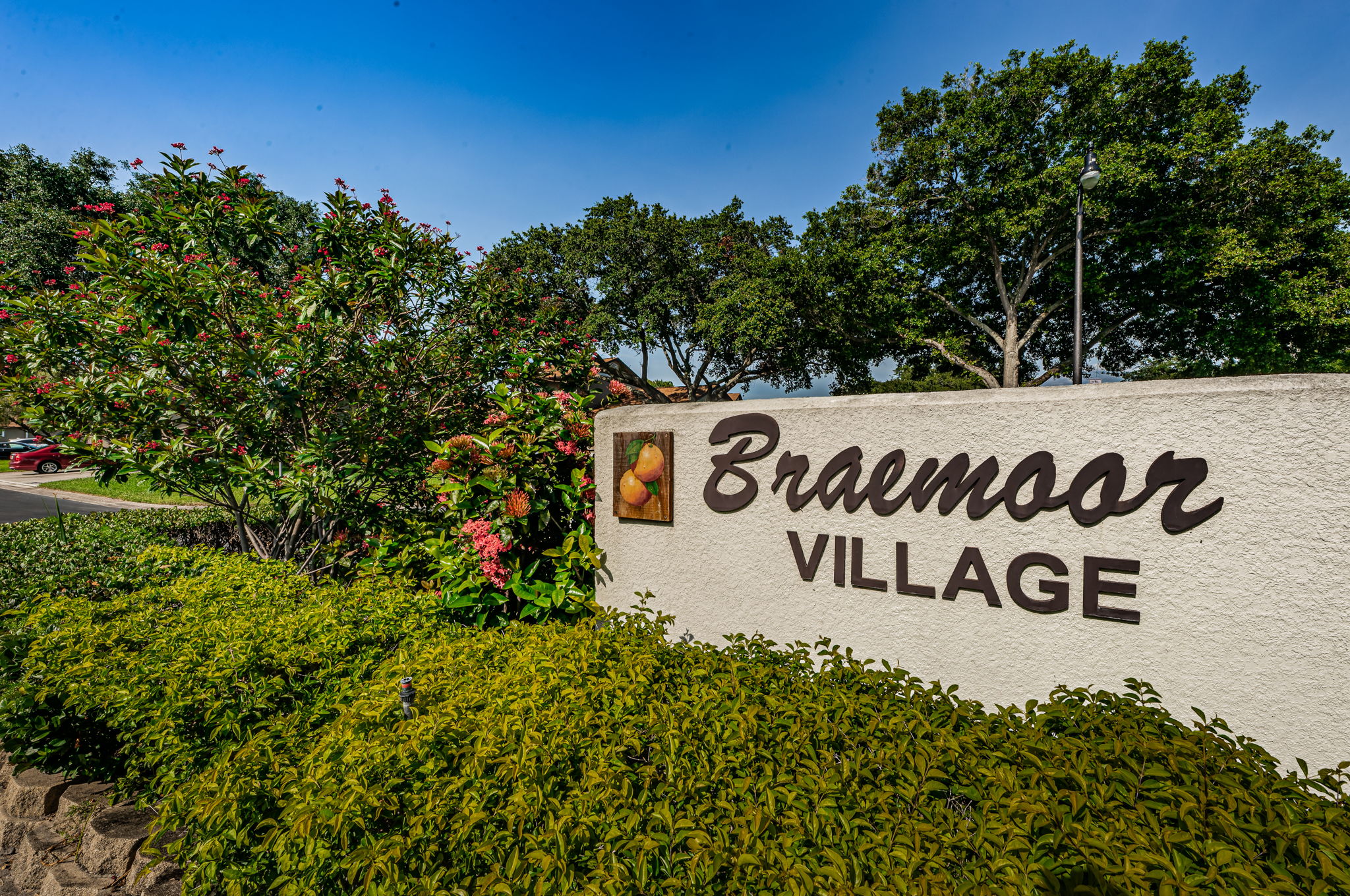 46-Braemoor Village
