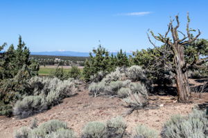 2020_07_09_brasada_amenities_one_time_use-3