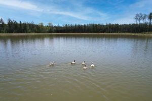  Photo 34