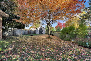  Photo 44