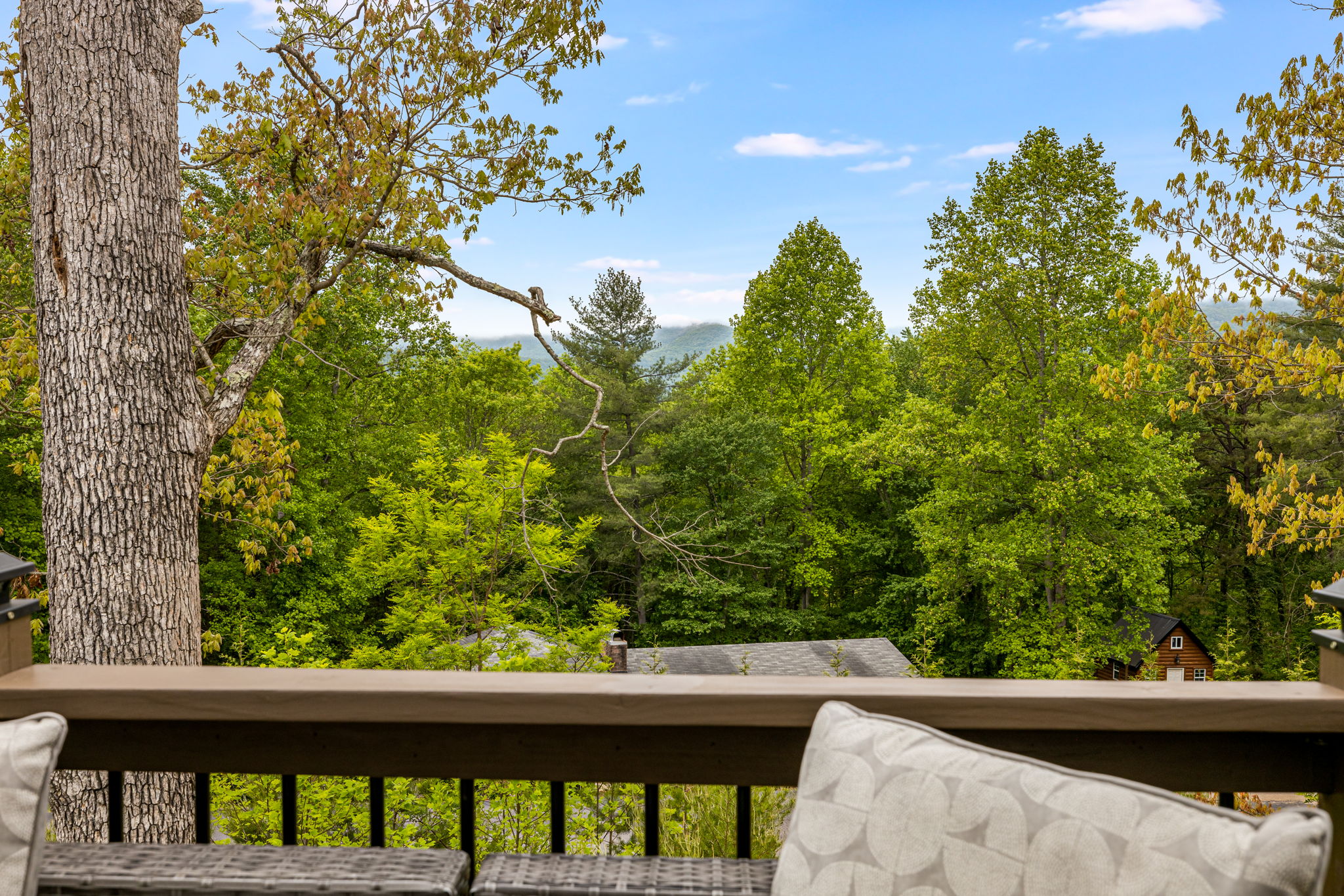  Photo 73