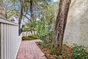 Side Yard