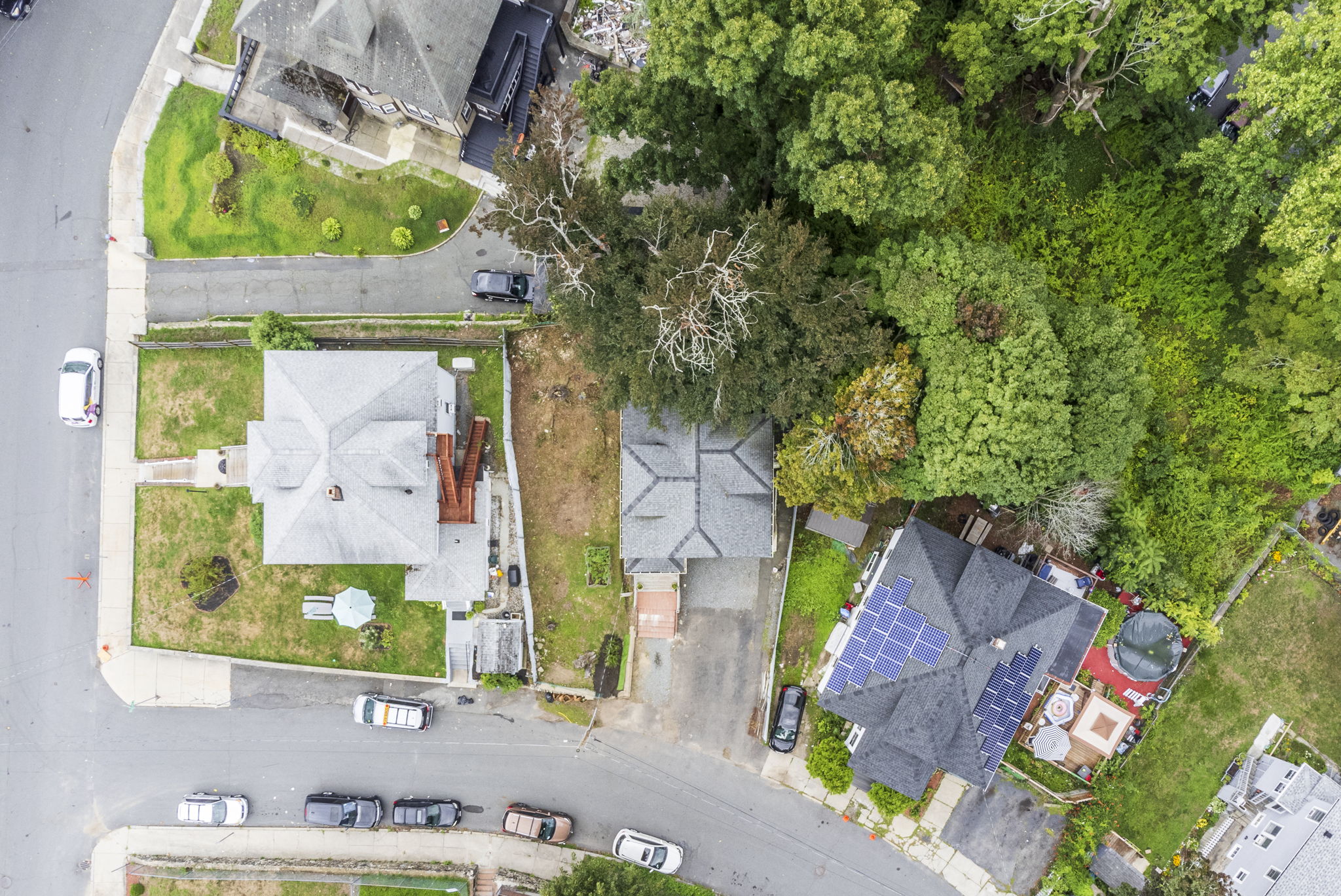 Aerial View of the Neighborhood