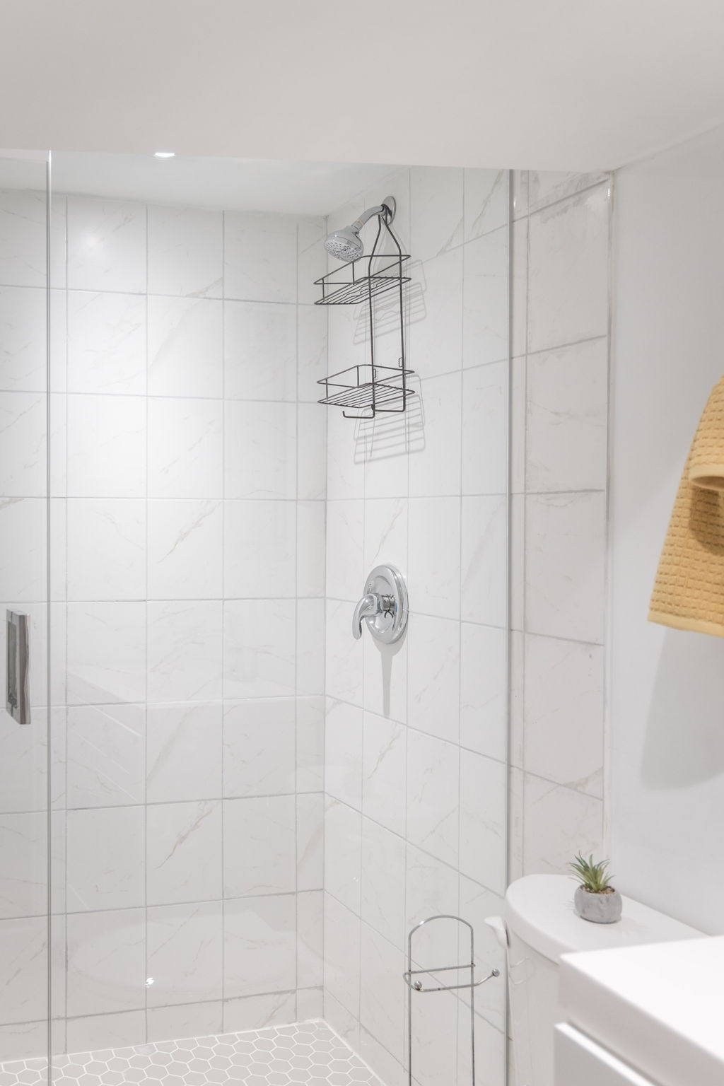 Toronto property showcase — delivered property photograph 44