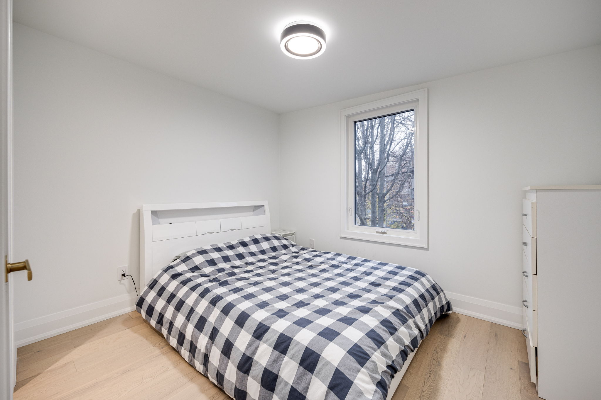 Toronto property showcase — delivered property photograph 13