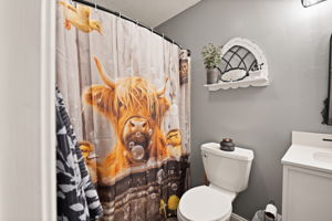  Photo 41