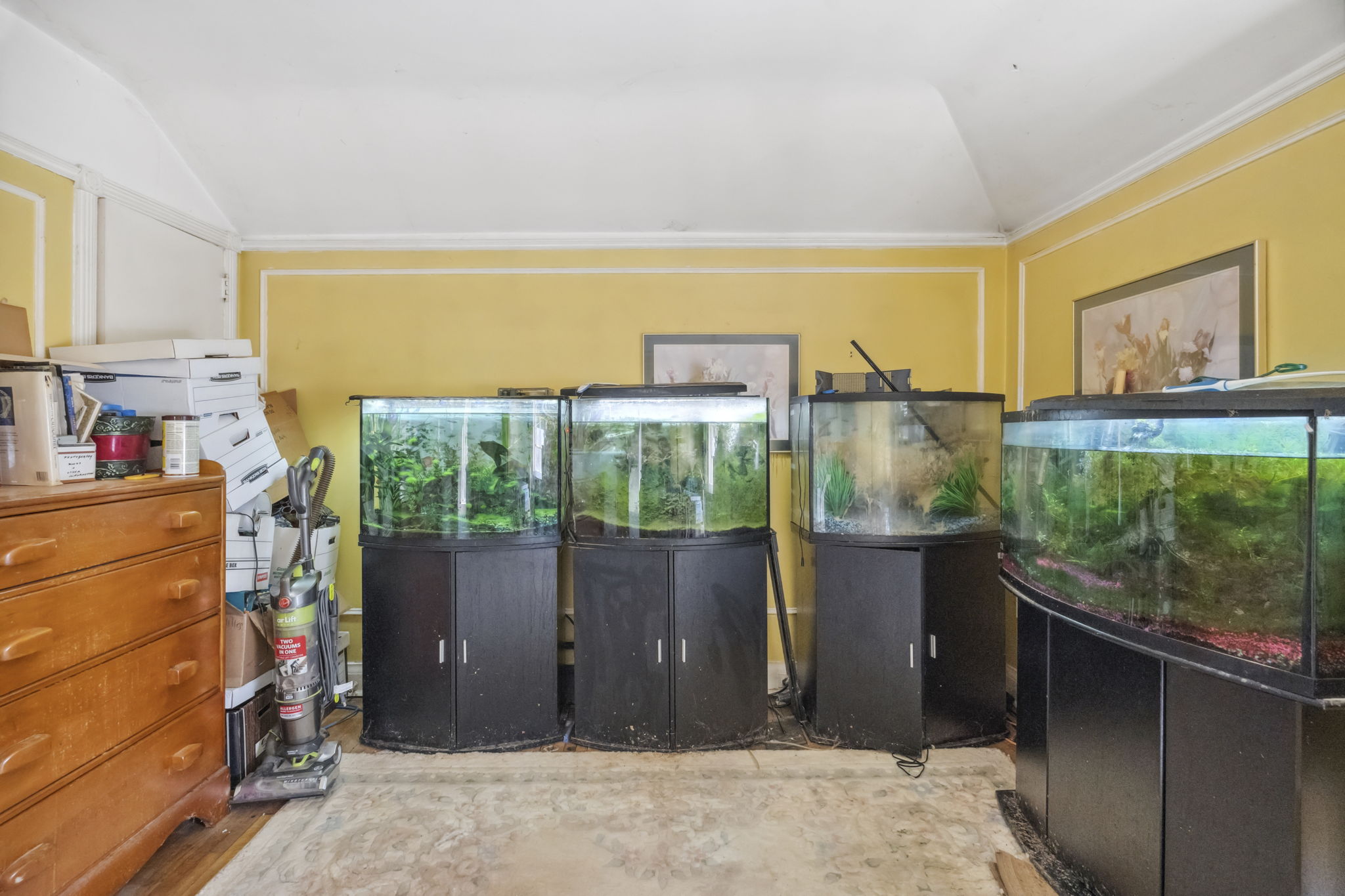 17 Highgate Rd Toronto, ON M8X 2B1