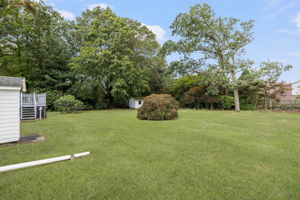  Photo 38
