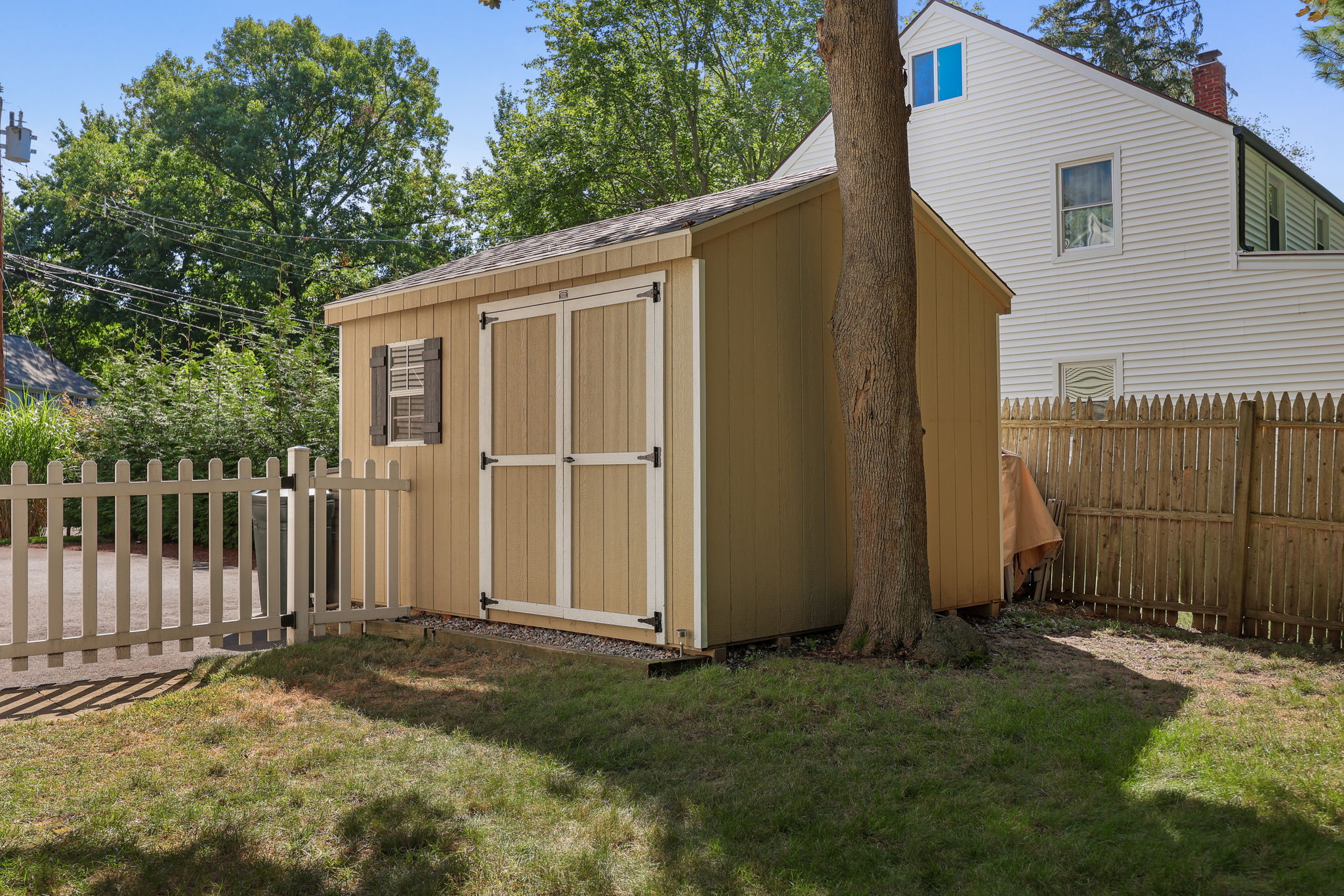Newer Shed