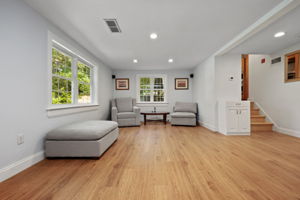 Lower Level Family Room