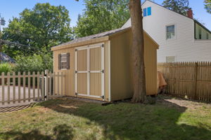 Newer Shed