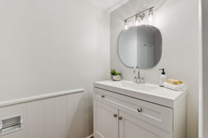 Lower Level Bathroom
