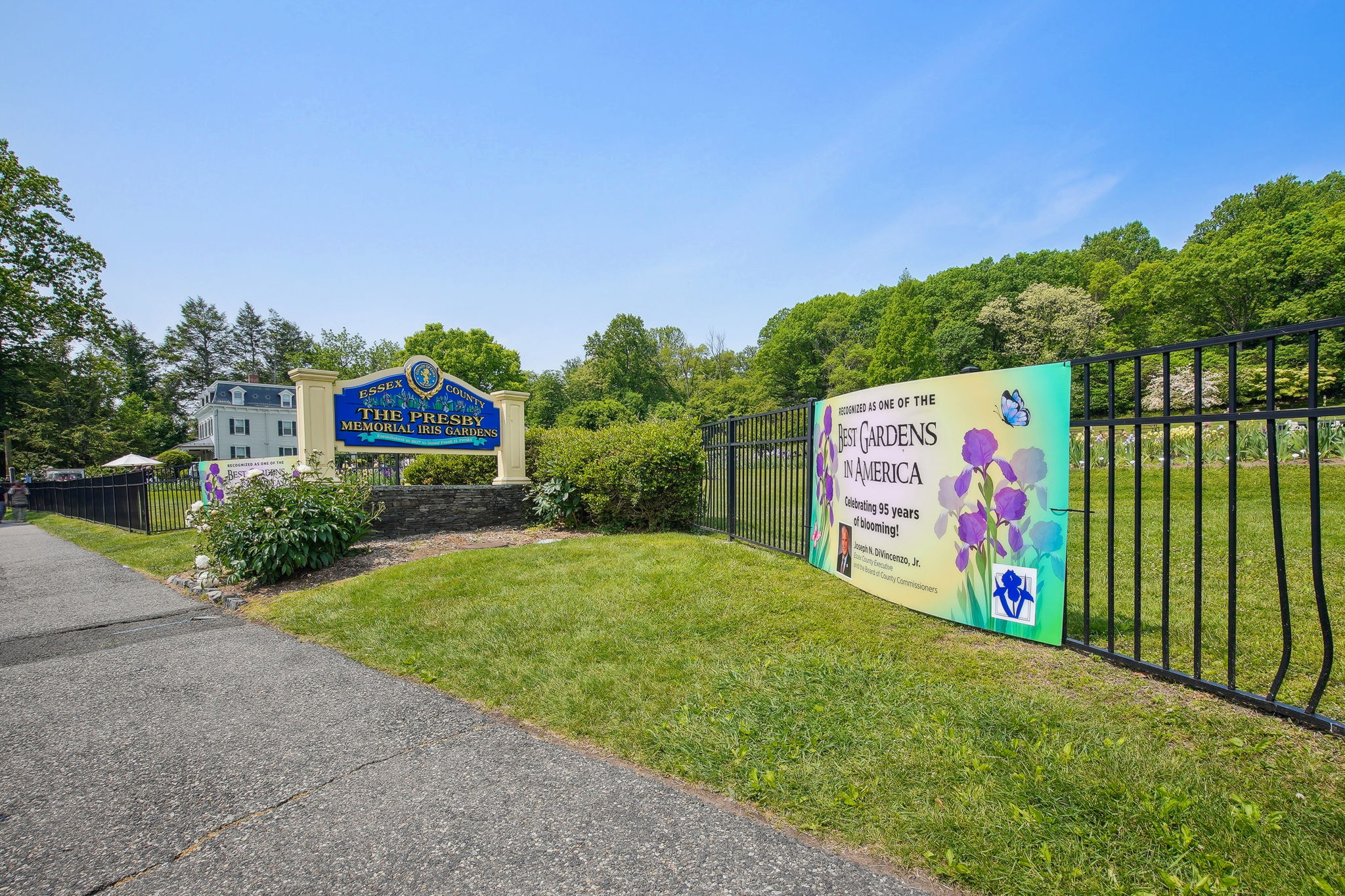 Presby Memorial Iris Gardens, known as the ‘Rainbow on the Hill,’ showcases over 14,000 irises in full bloom each spring. Just minutes from home, it’s an award-winning destination that draws visitors from around the world to Montclair.