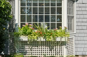 Bursting with color, this flower box mirrors Montclair itself: vibrant, creative, and always in full bloom.