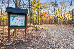 Flanking Montclair like two leafy guardians, Mills Reservation and Eagle Rock Reservation offer over 500 acres of woodlands and miles of trails.