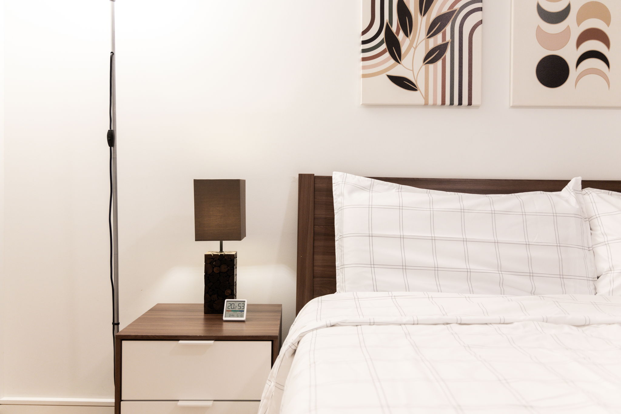 Toronto property showcase — delivered property photograph 25