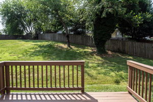  Photo 52