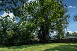  Photo 49