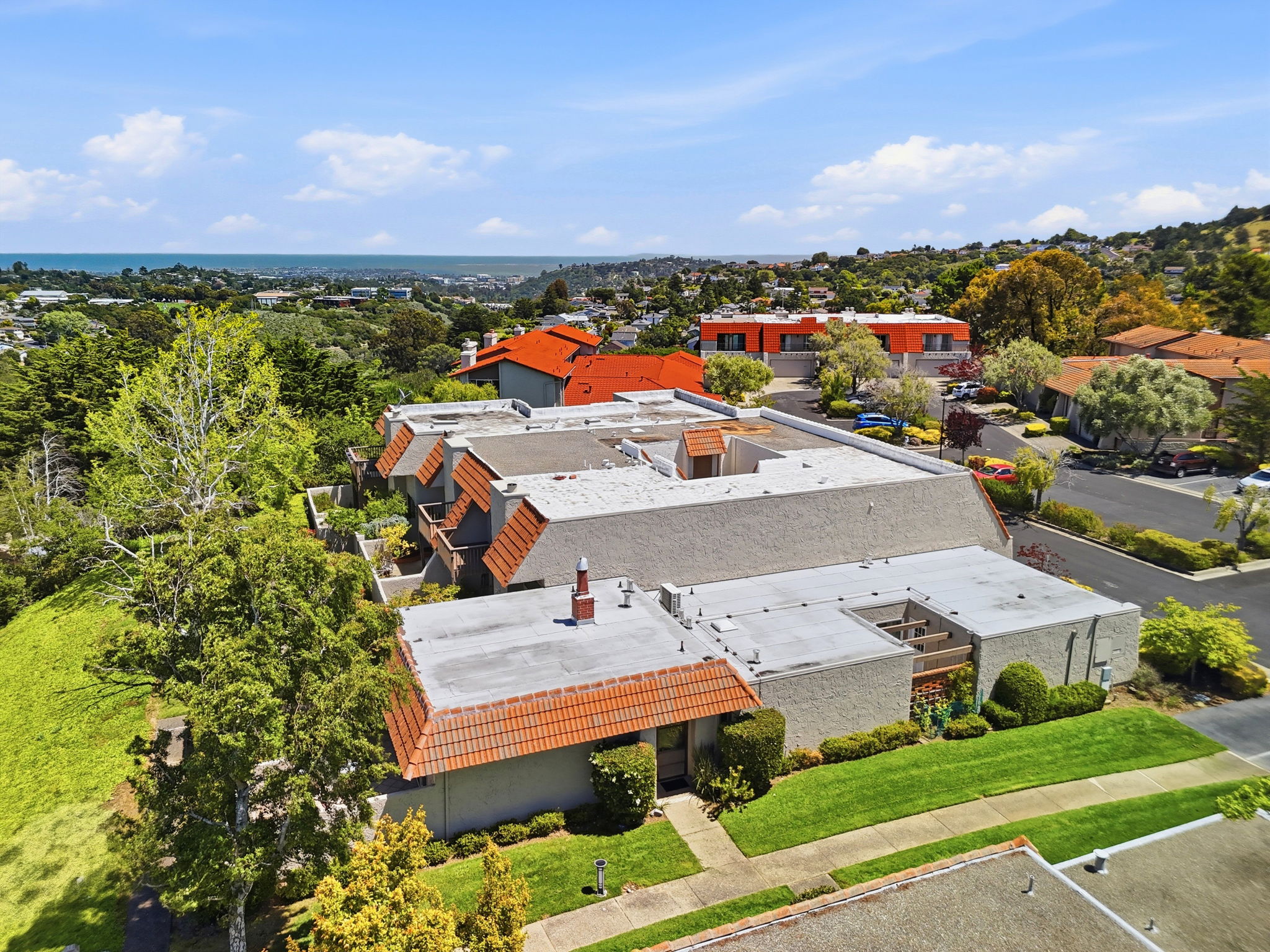 002_f8_AERIAL_17 Rinconada Cir