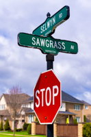 17 Sawgrass Ave, Richmond Hill, ON L4E 5C9, Canada Photo 4