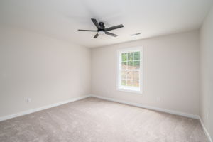 17 Tennyson Dr, Taylorsville, NC 28681, USA Photo 43