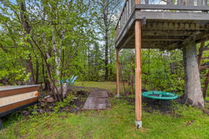  Photo 49