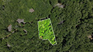  Photo 0