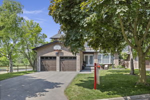  Photo 0