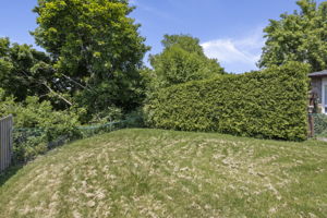  Photo 49