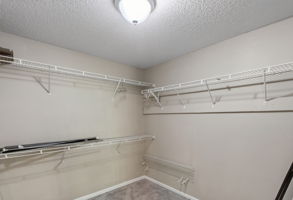  Photo 39