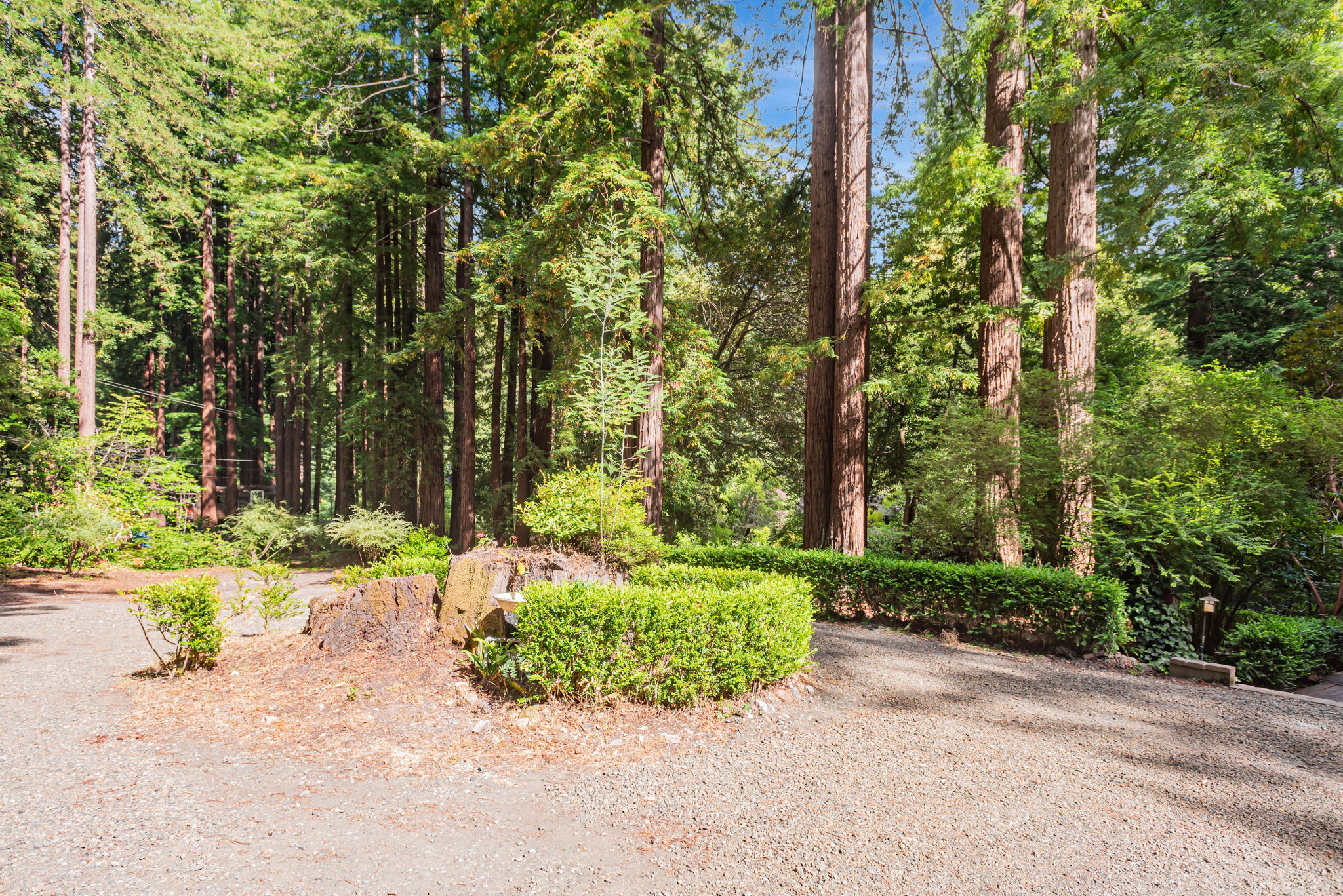 48_170 Madrone Ave