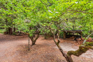 46_170 Madrone Ave