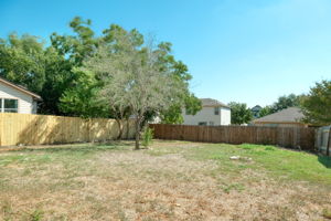 Back Yard