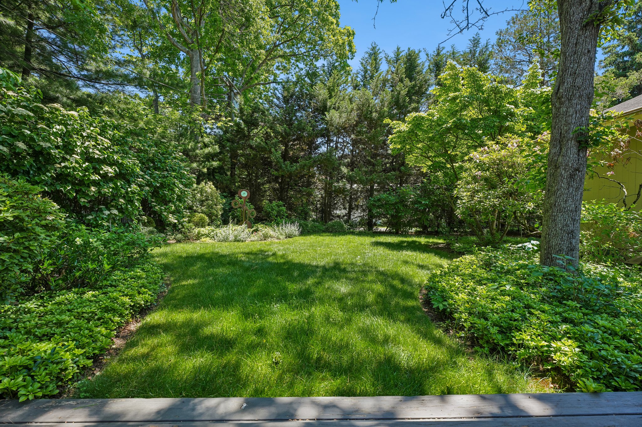 Mature Landscaping