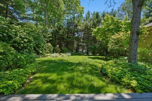 Mature Landscaping