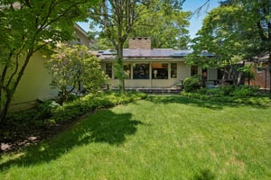 Mid-Century Oasis
