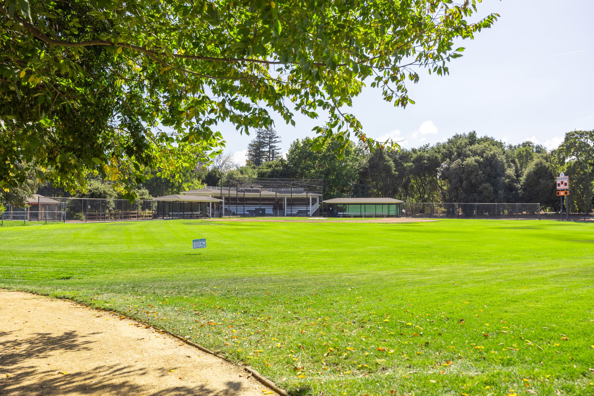 Holbrook Palmer Park