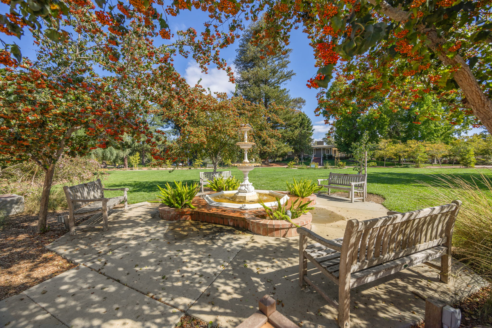 Holbrook Palmer Park