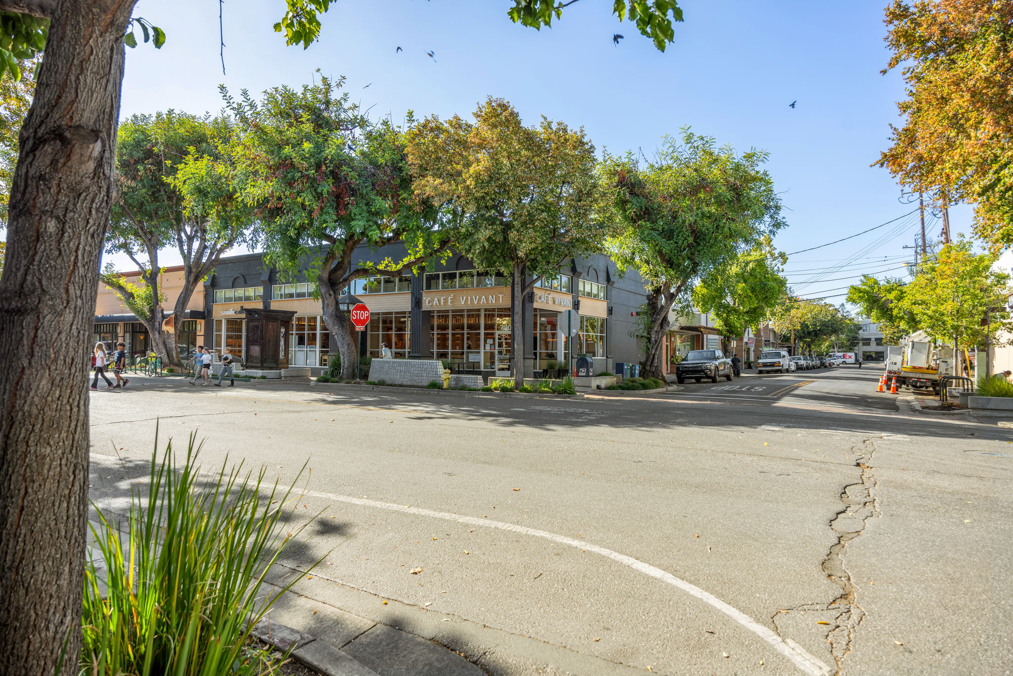 Santa Cruz Avenue