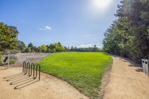 Holbrook Palmer Park