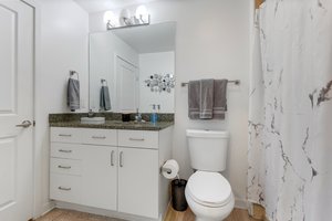 White Cabinets Newer toilette