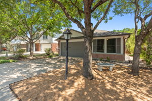 Low maintenance front yard