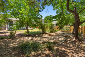 Backyard with shady portion/pea gravel path