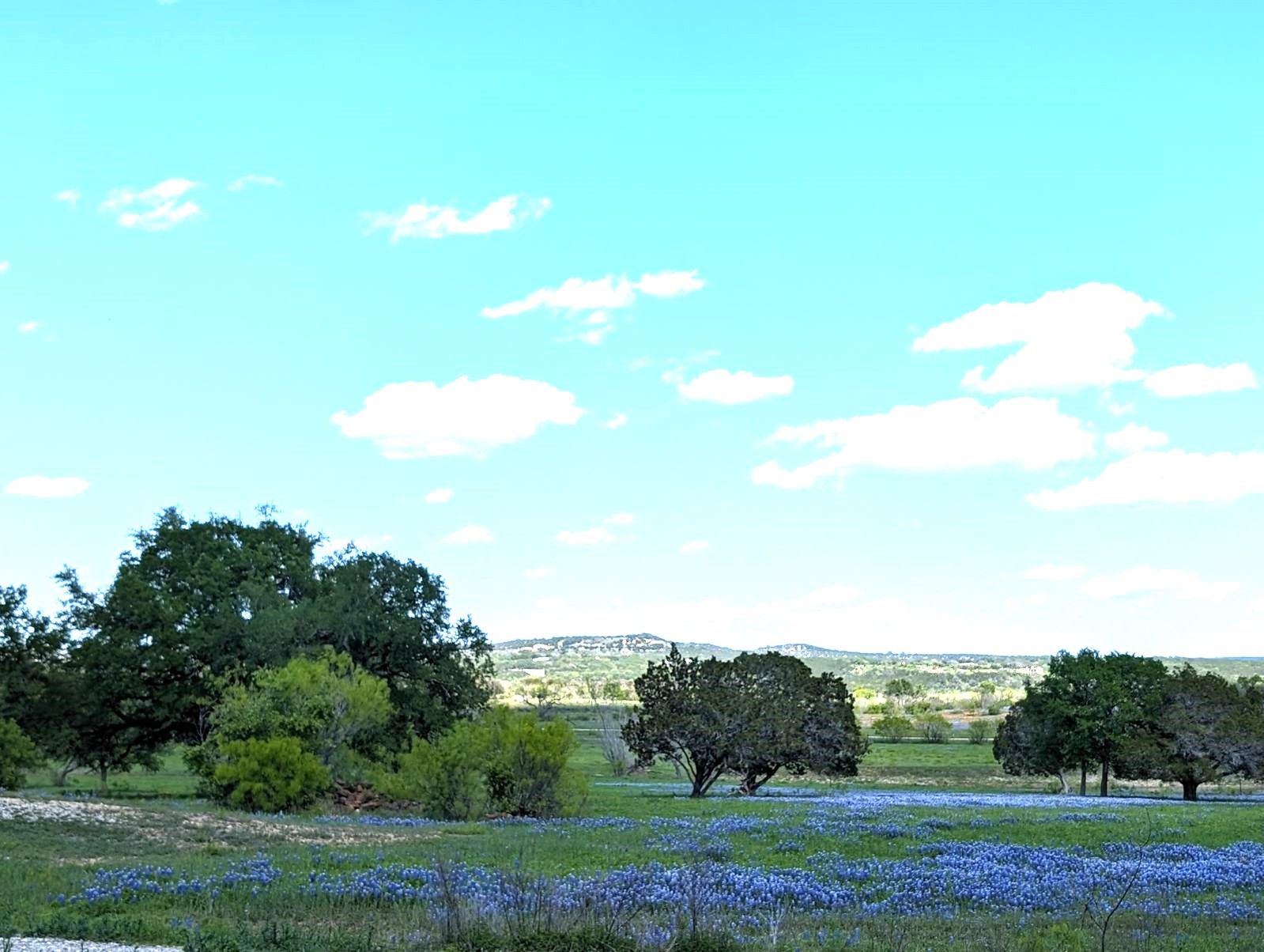 Serene Beautiful Hill Country Views looking Northeast.