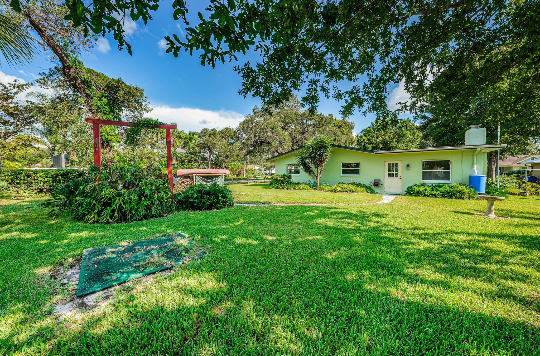 Backyard2-4