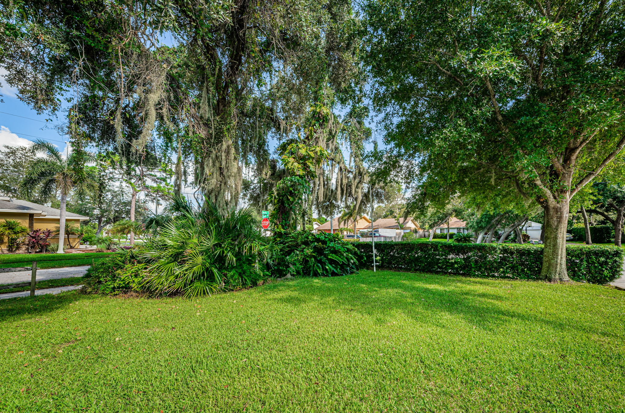 Frontyard
