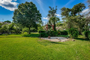 Backyard5-2