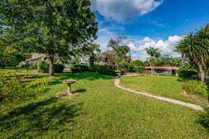 Backyard1-4