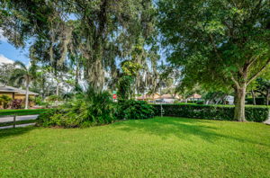 Frontyard